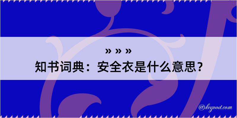 知书词典：安全衣是什么意思？