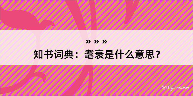 知书词典：耄衰是什么意思？