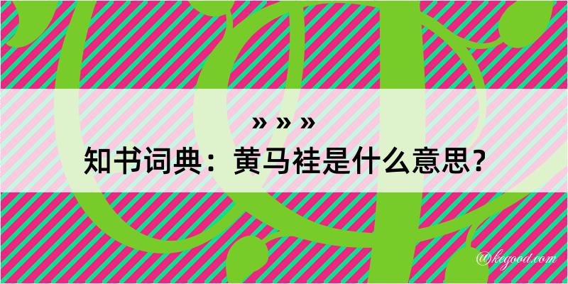 知书词典：黄马袿是什么意思？