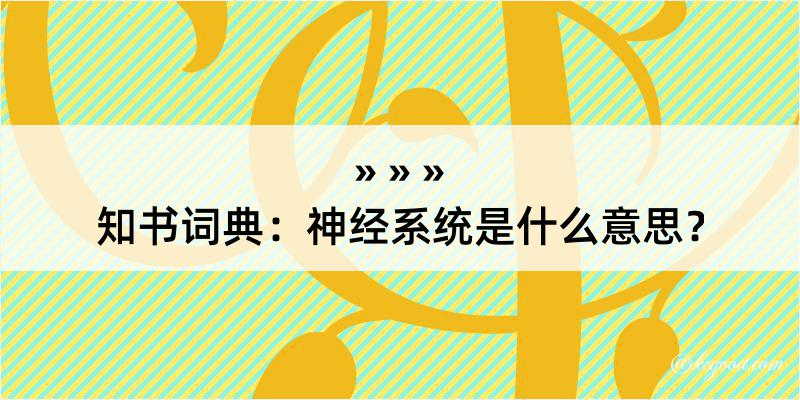 知书词典：神经系统是什么意思？