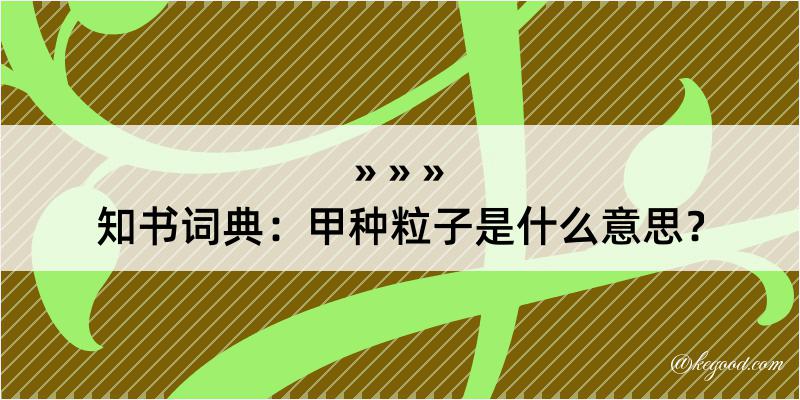 知书词典：甲种粒子是什么意思？