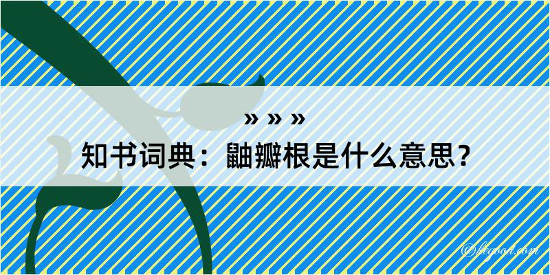 知书词典：鼬瓣根是什么意思？