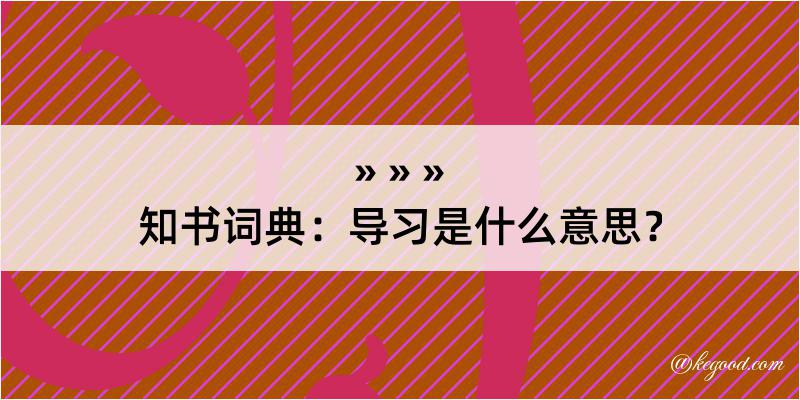 知书词典：导习是什么意思？