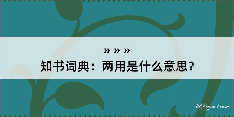 知书词典：两用是什么意思？