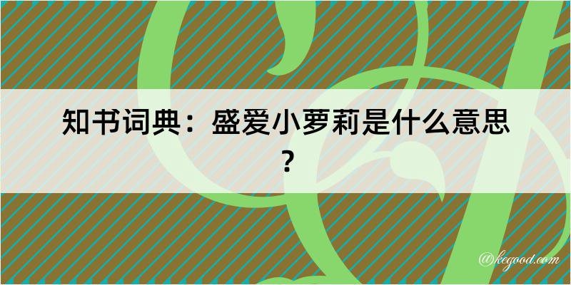 知书词典：盛爱小萝莉是什么意思？