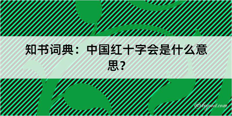 知书词典：中国红十字会是什么意思？