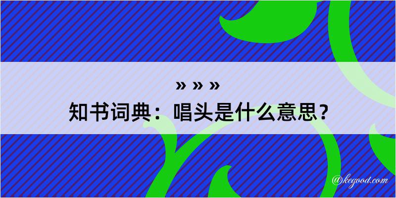 知书词典：唱头是什么意思？