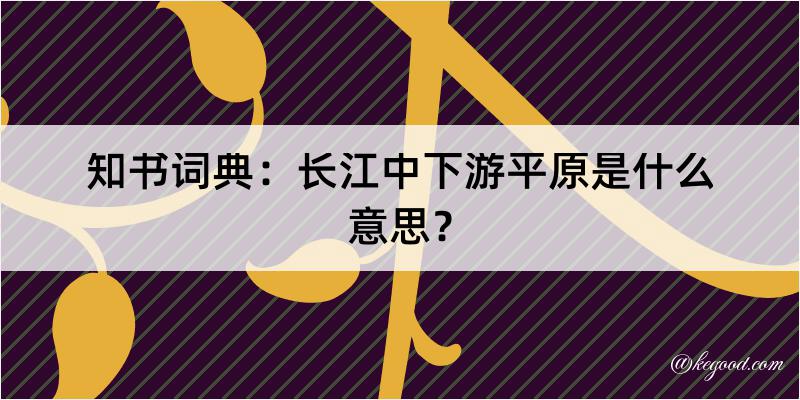 知书词典：长江中下游平原是什么意思？