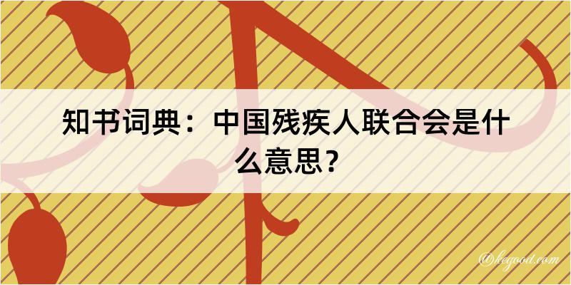 知书词典：中国残疾人联合会是什么意思？