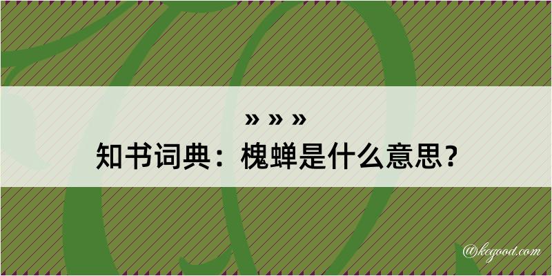 知书词典：槐蝉是什么意思？