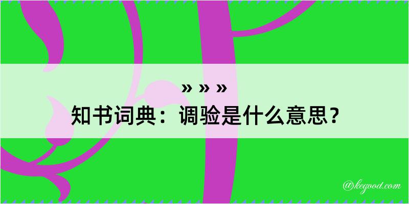 知书词典：调验是什么意思？