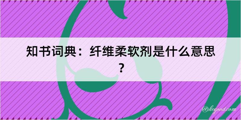 知书词典：纤维柔软剂是什么意思？