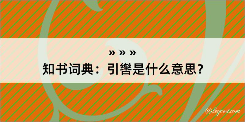 知书词典：引辔是什么意思？