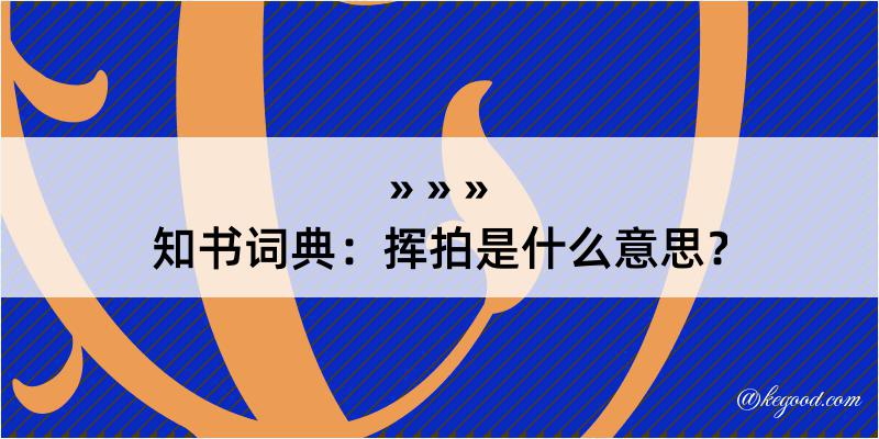 知书词典：挥拍是什么意思？