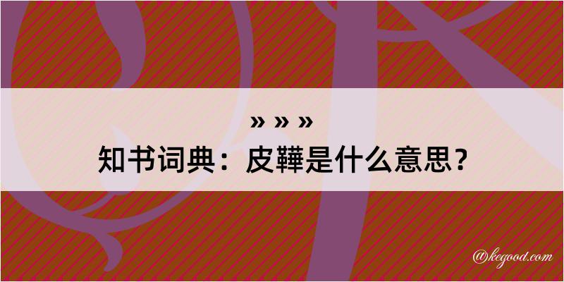 知书词典：皮鞾是什么意思？