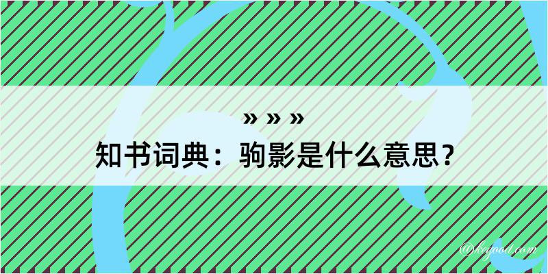 知书词典：驹影是什么意思？