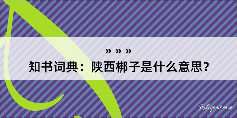 知书词典：陕西梆子是什么意思？