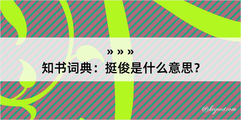 知书词典：挺俊是什么意思？