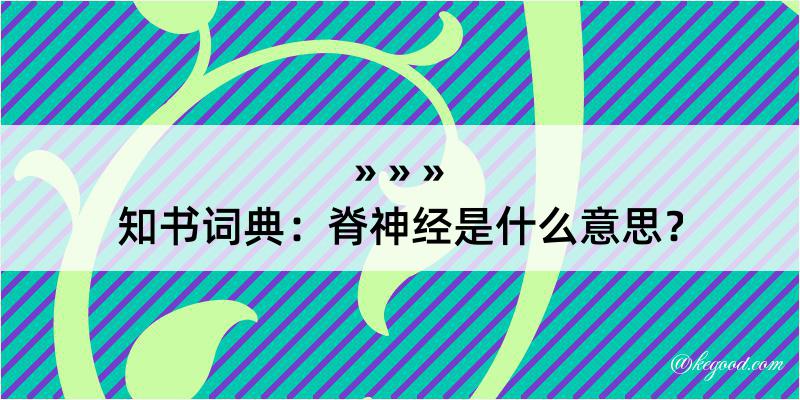 知书词典：脊神经是什么意思？