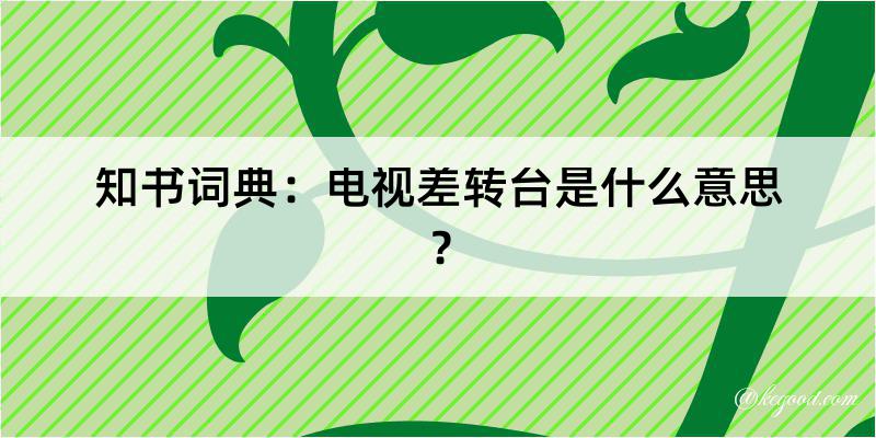 知书词典：电视差转台是什么意思？