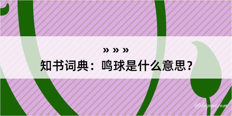 知书词典：鸣球是什么意思？