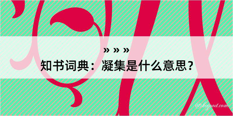 知书词典：凝集是什么意思？