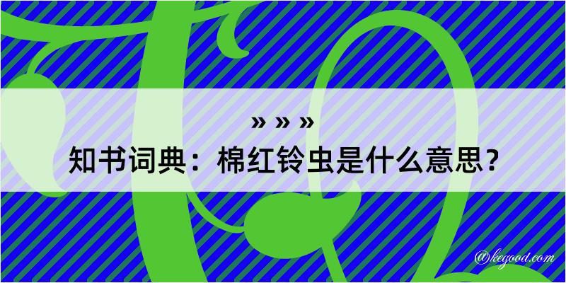 知书词典：棉红铃虫是什么意思？