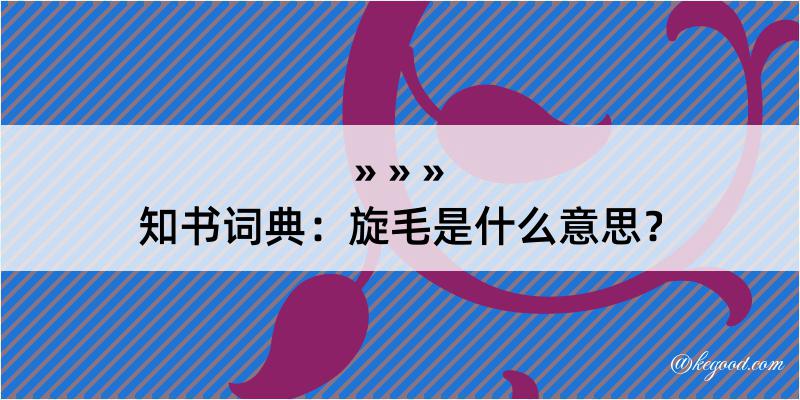 知书词典：旋毛是什么意思？