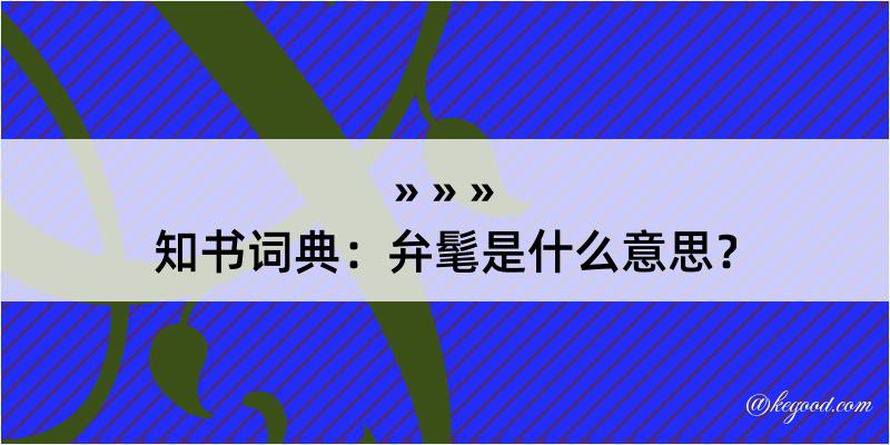 知书词典：弁髦是什么意思？