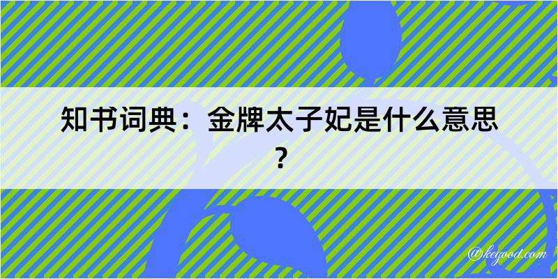 知书词典：金牌太子妃是什么意思？