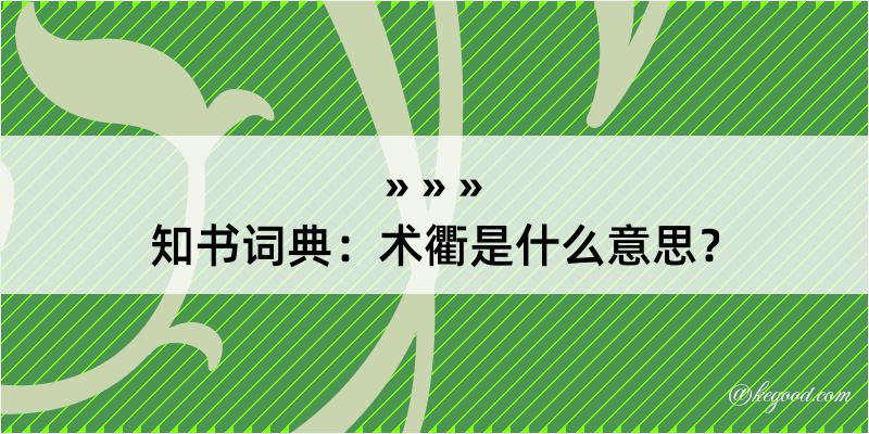 知书词典：术衢是什么意思？