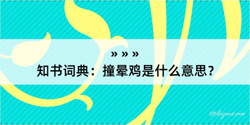 知书词典：撞晕鸡是什么意思？