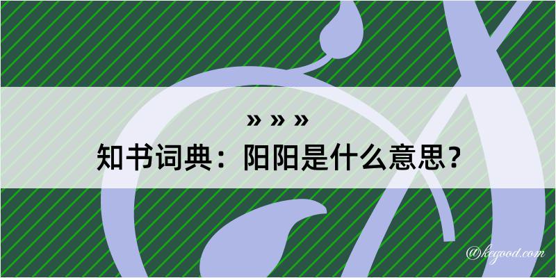 知书词典：阳阳是什么意思？