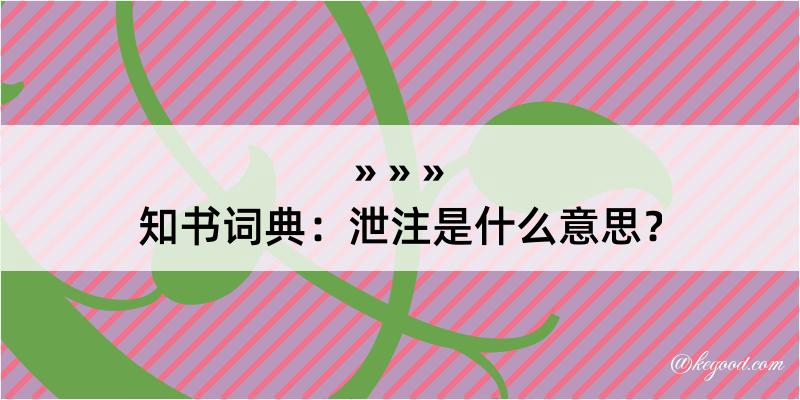 知书词典：泄注是什么意思？