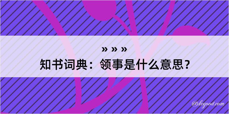 知书词典：领事是什么意思？