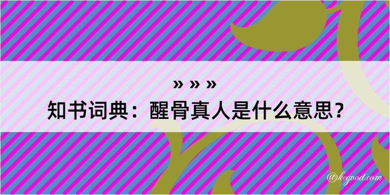 知书词典：醒骨真人是什么意思？