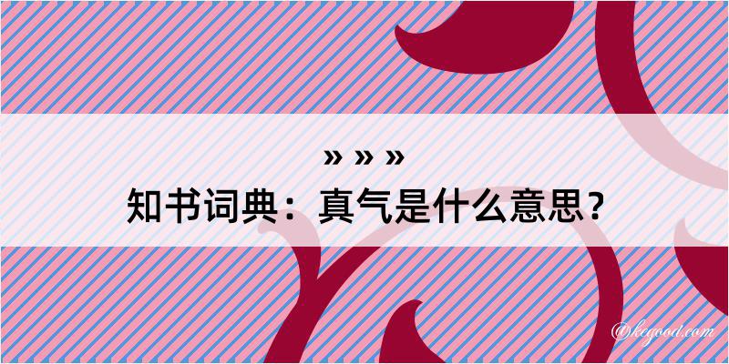 知书词典：真气是什么意思？