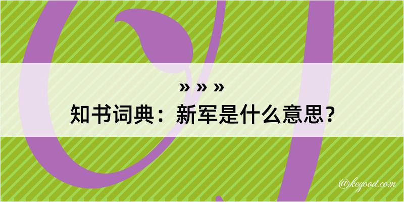 知书词典：新军是什么意思？