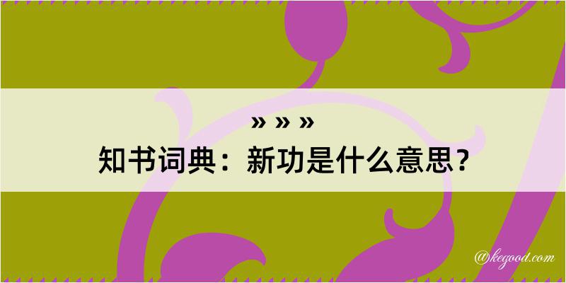 知书词典：新功是什么意思？