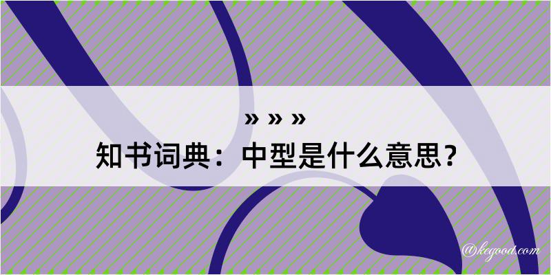 知书词典：中型是什么意思？