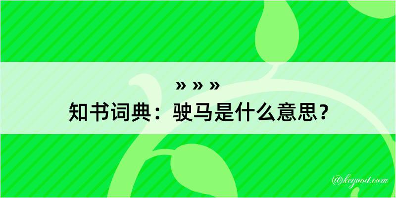 知书词典：驶马是什么意思？