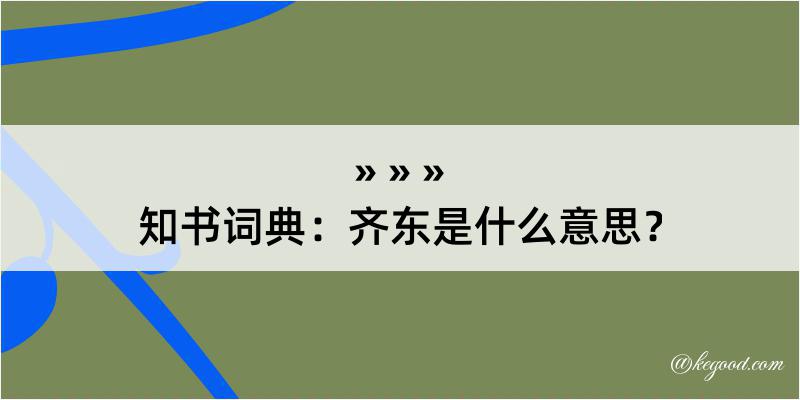 知书词典：齐东是什么意思？