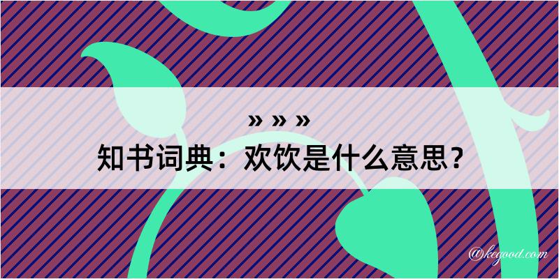 知书词典：欢饮是什么意思？