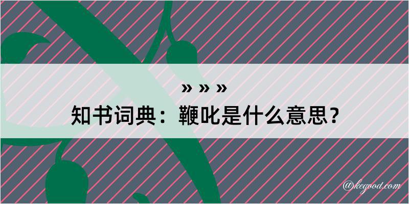 知书词典：鞭叱是什么意思？