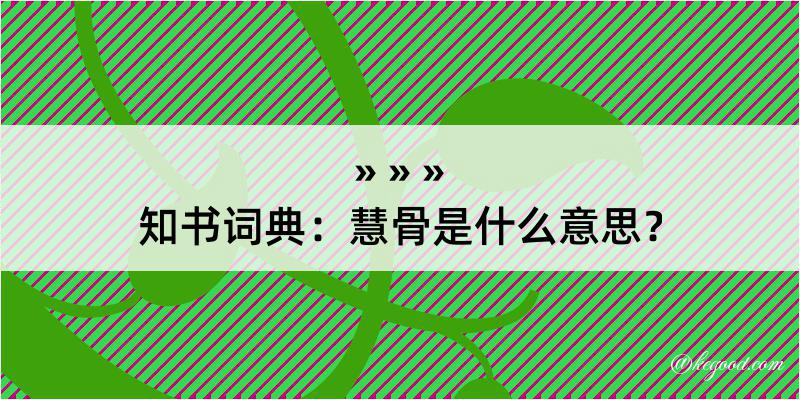 知书词典：慧骨是什么意思？