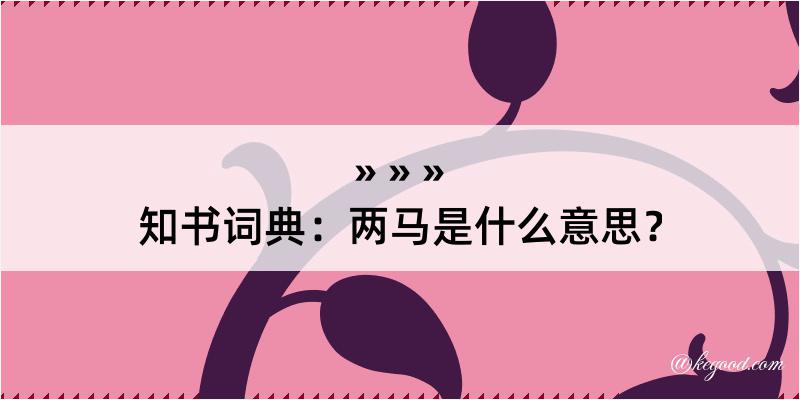 知书词典：两马是什么意思？