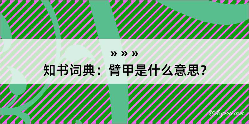 知书词典：臂甲是什么意思？