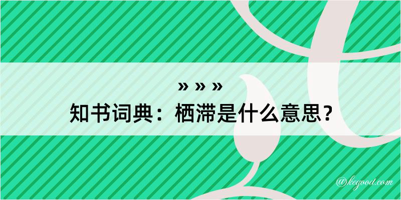 知书词典：栖滞是什么意思？