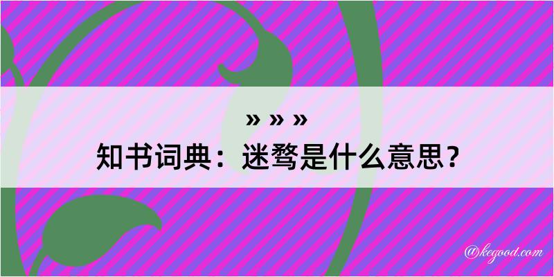 知书词典：迷骛是什么意思？