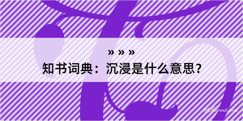 知书词典：沉浸是什么意思？